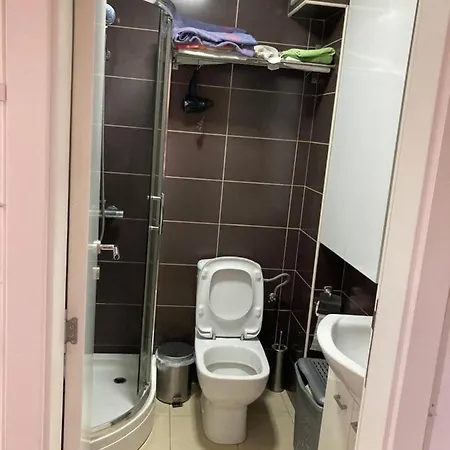 Forest View * Belgrado