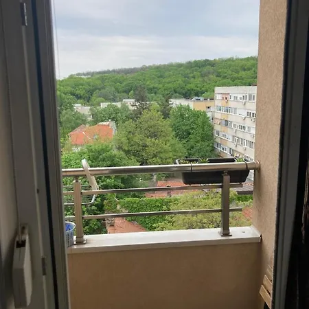 Forest View Belgrado