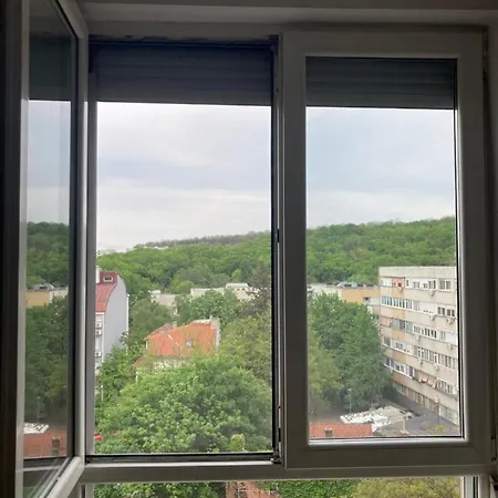 Forest View *