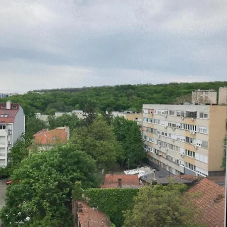Forest View